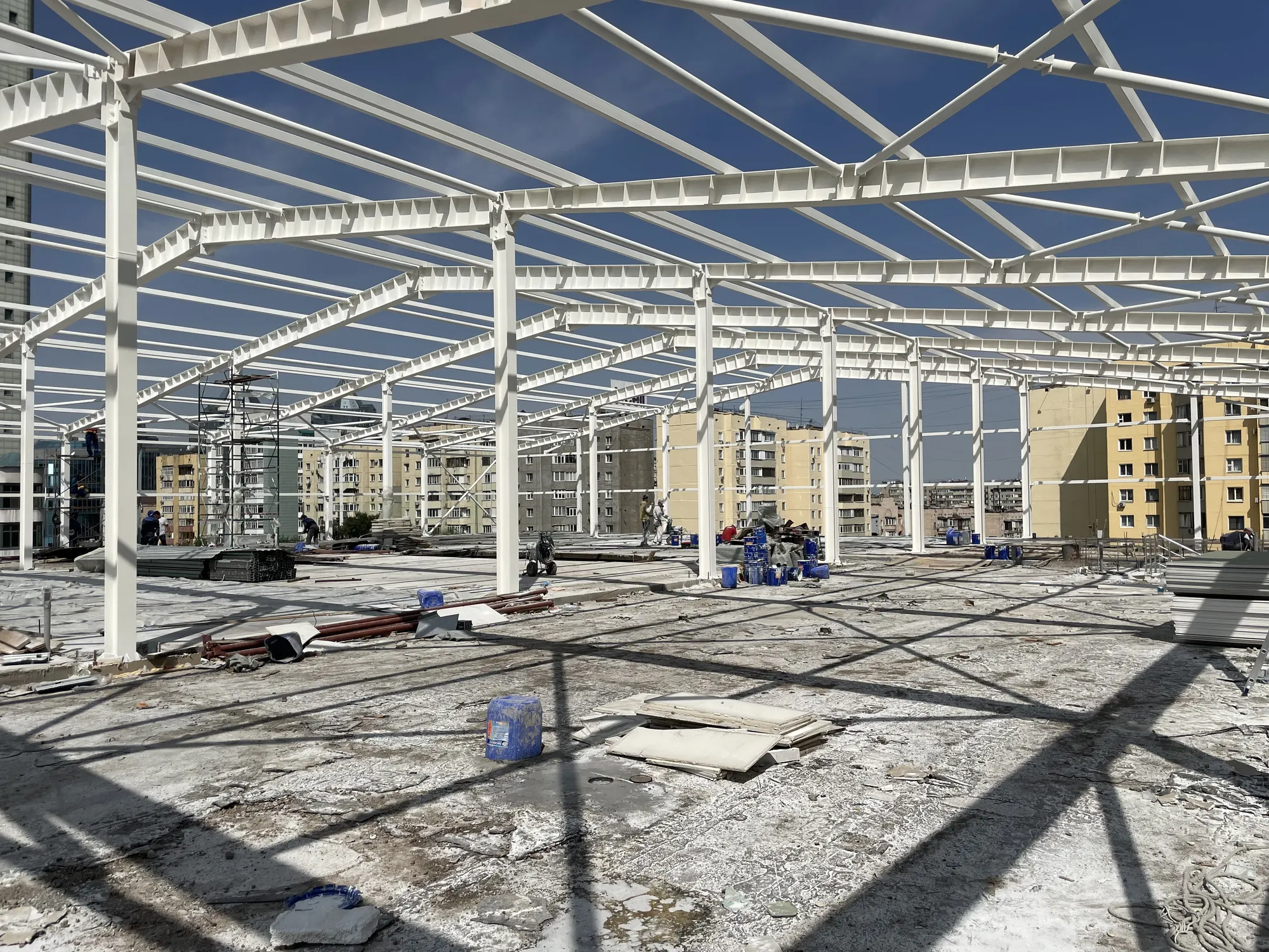 Реконструкция фитнес-центра «Royal Club», ЖК "Ботанический сад"